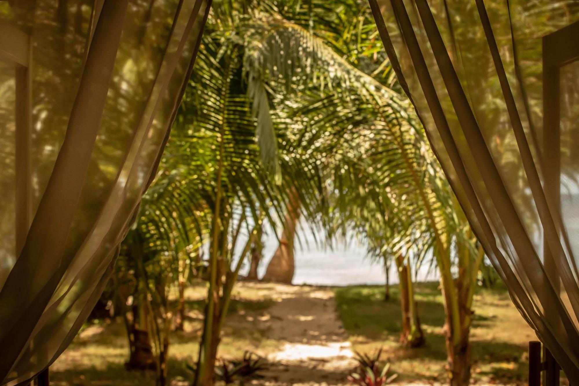 The Beach House Ocam Ocam Busuanga Bagian luar foto
